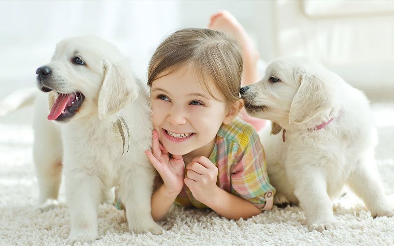 ペット環境事業